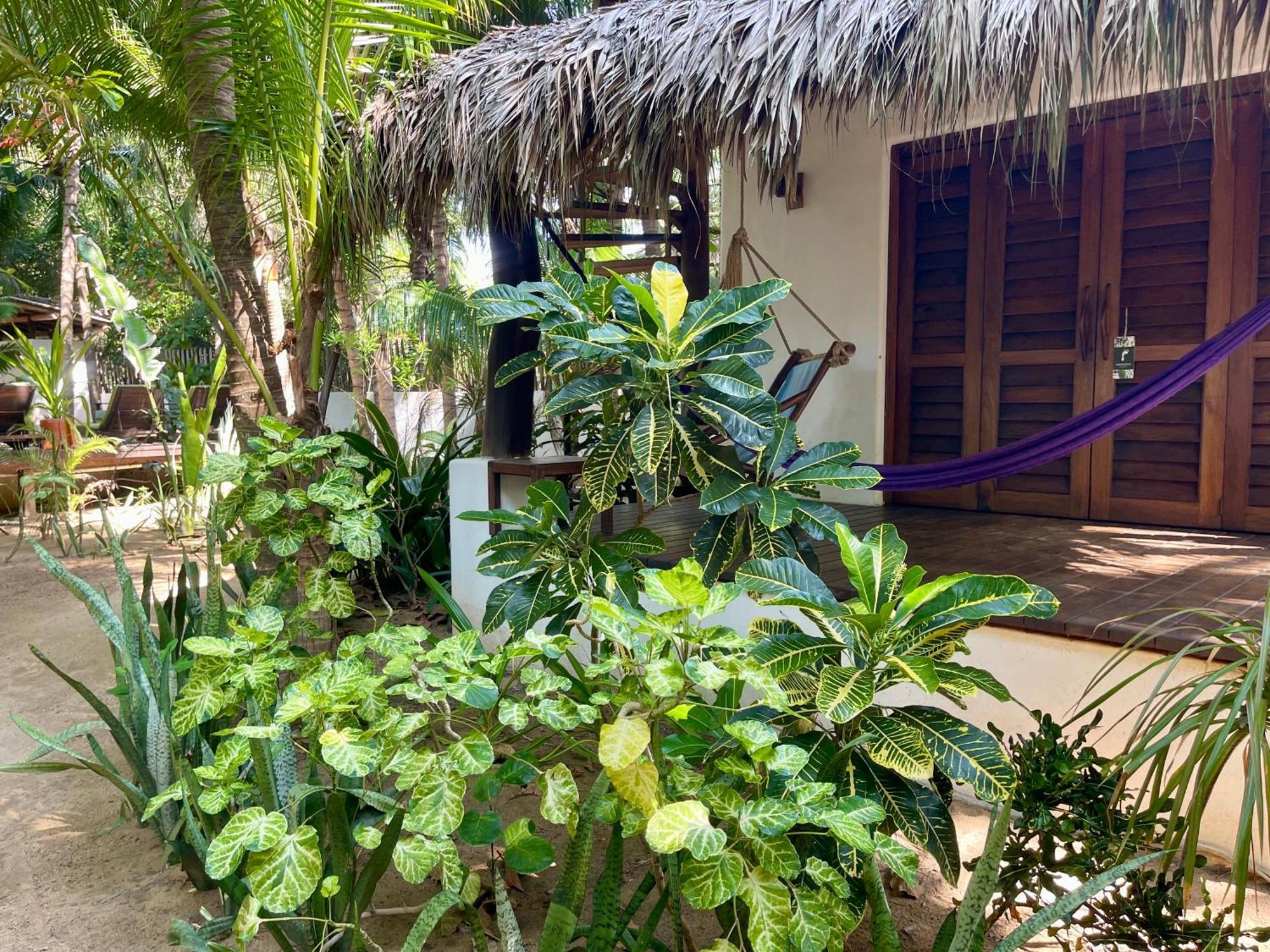 Hotel Descalzo Spa Zipolite Exterior photo